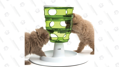 Houses with two or more cats need a way to organize dinner time, but keep pets from getting bored. The Catit Senses 2.0 Food Tree is for inquisitive cats that love to explore.